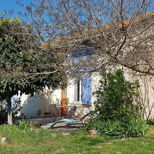 Petite Maison Refaite à Neuf Dans Mas Du 19ème Siècle Arles