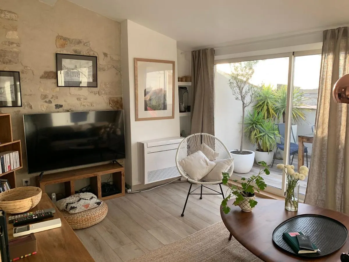 Truchet Penthouse Appartement Arles Frankrijk